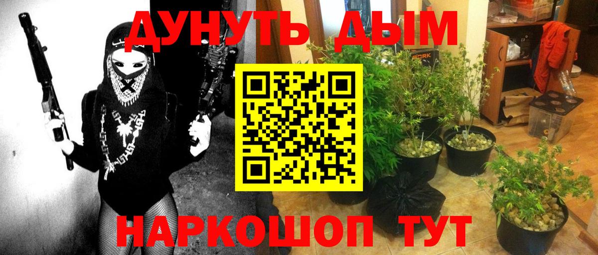 Канабис план Фрязино